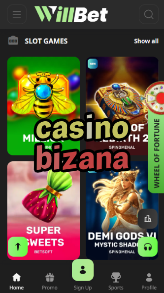 Casino Bizana - Best South African Casino-www.bdqngd.com